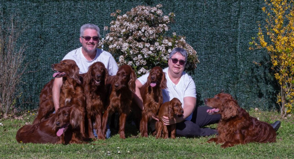 Du Petit Bois De La Vaslière - la famille au complet 