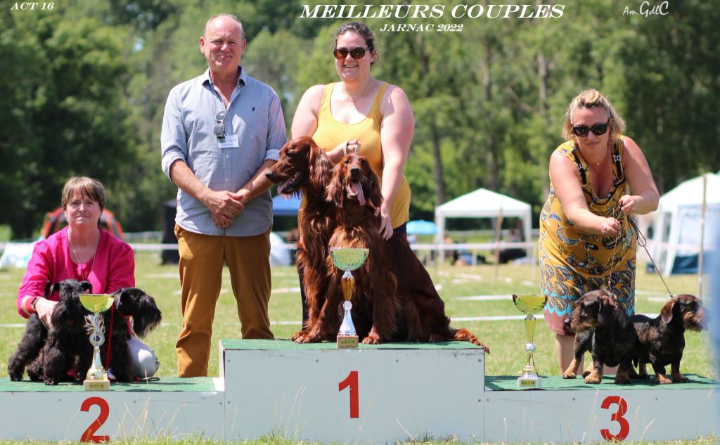 Du Petit Bois De La Vaslière - Jarnac, meilleur couple de l'exposition