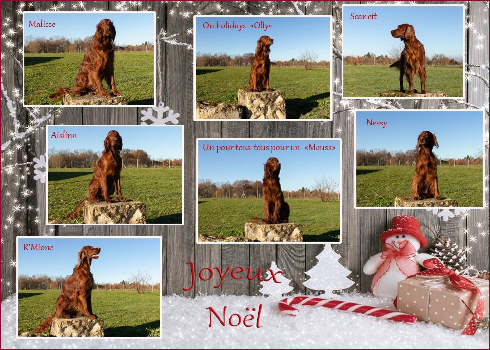 joyeux Noël