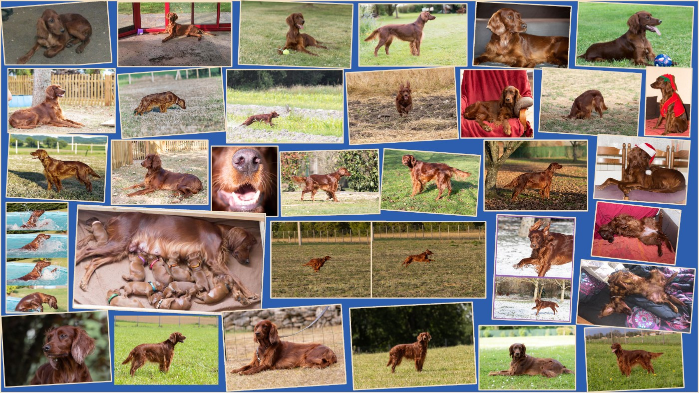 bon anniversaire NESSY