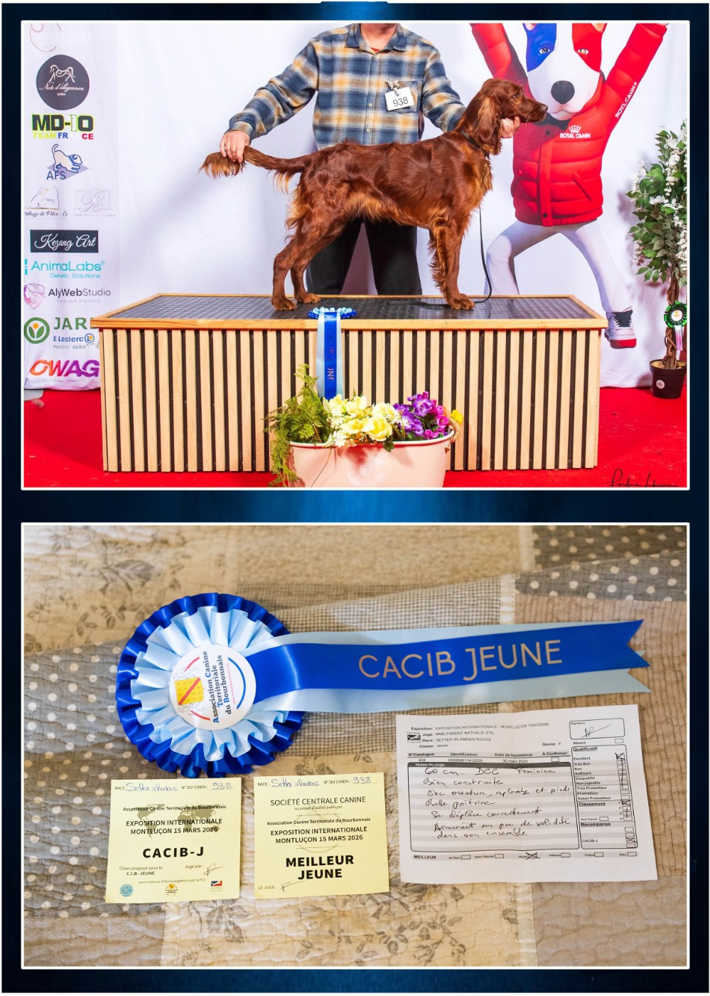 Aislinn meilleur Jeune à Montluçon