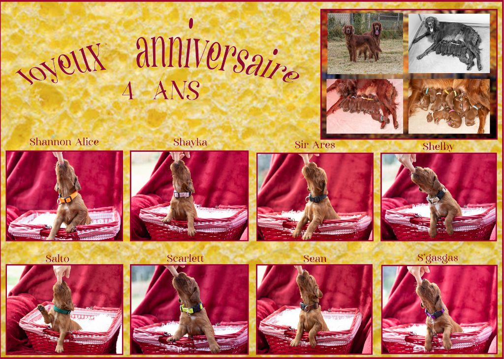 bon anniversaire . . . 