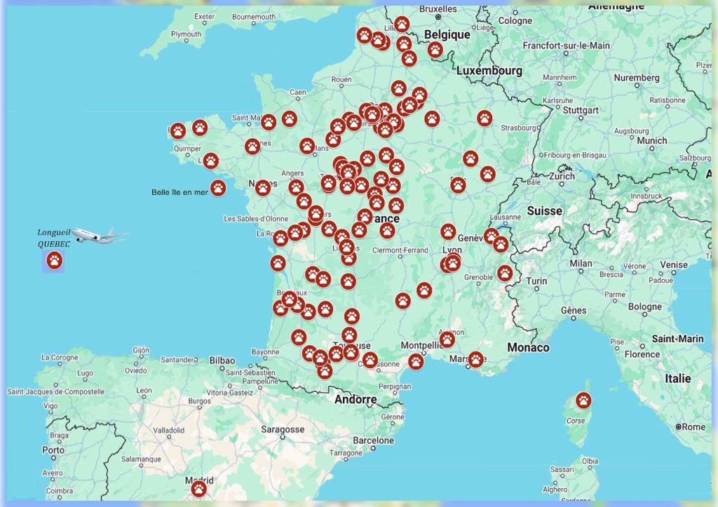 la carte des irlandais du petit bois de la vaslière