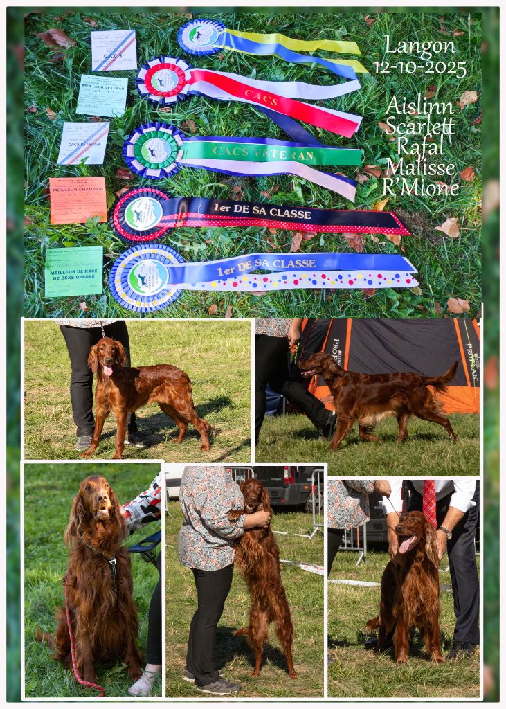 expo nationale de Langon