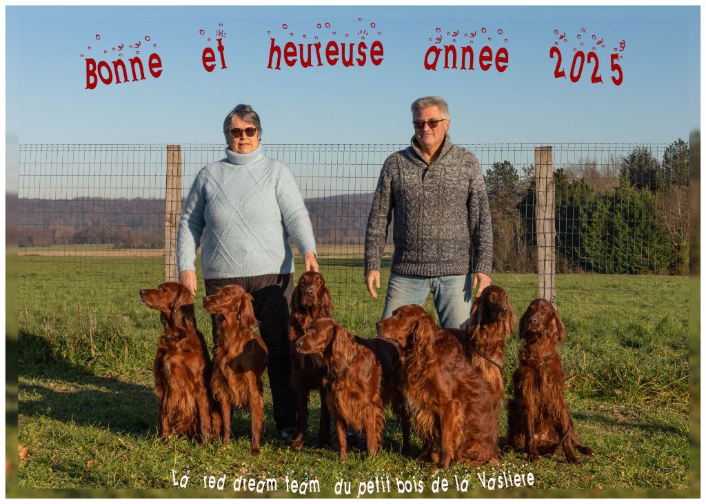 Bonne année 2025